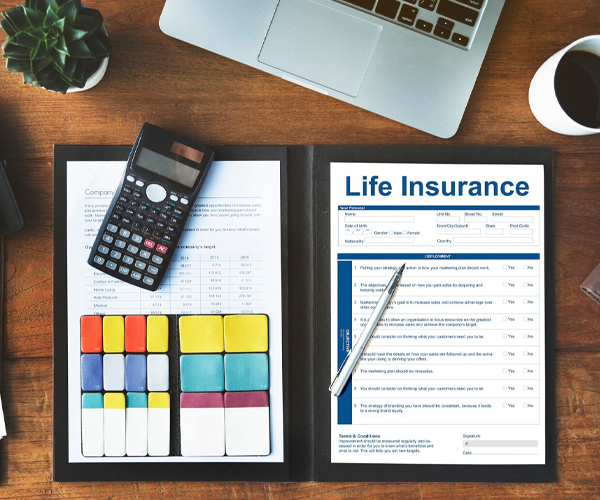 مالی، بیمه و حقوق